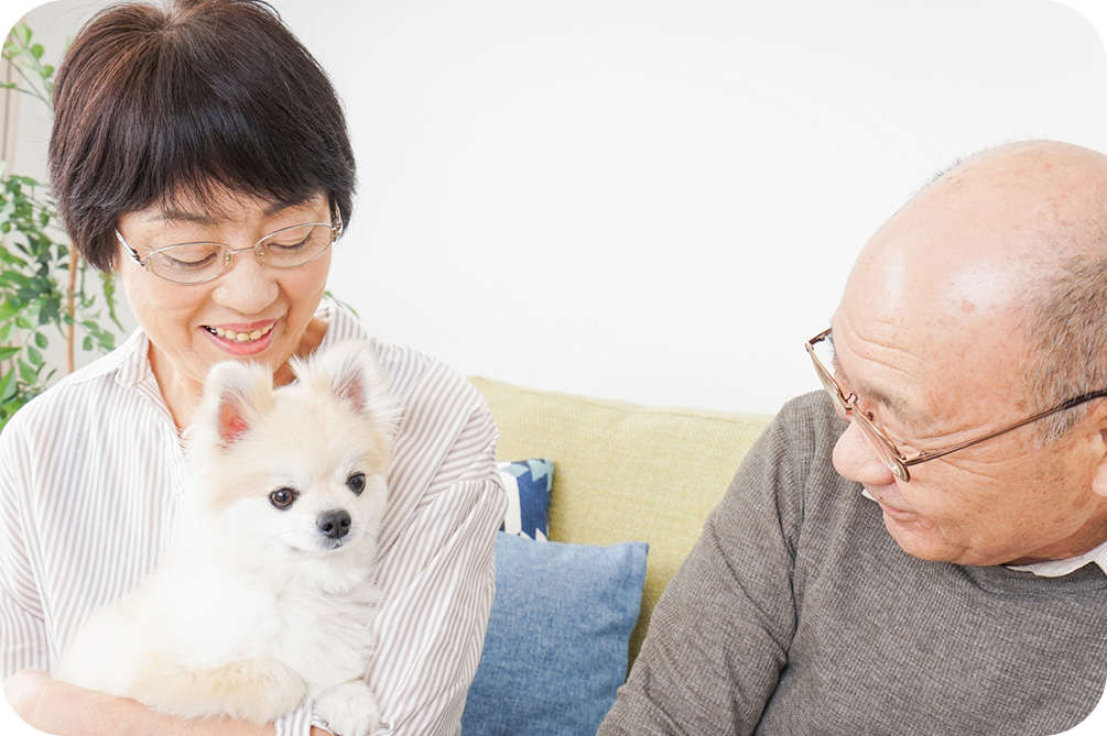 墓じまい こんなお困りごとはございませんか？ イメージ